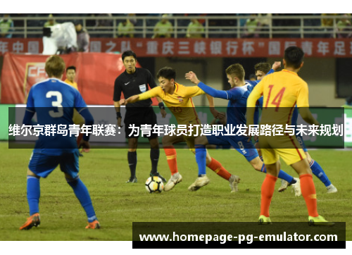 维尔京群岛青年联赛：为青年球员打造职业发展路径与未来规划