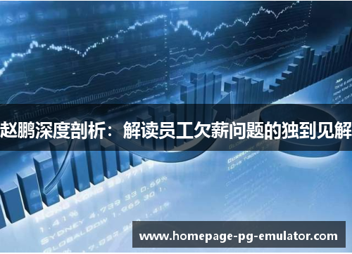 赵鹏深度剖析：解读员工欠薪问题的独到见解