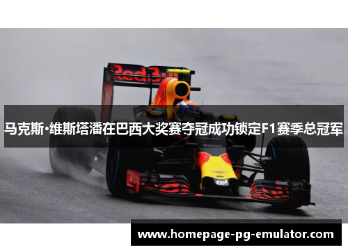 马克斯·维斯塔潘在巴西大奖赛夺冠成功锁定F1赛季总冠军