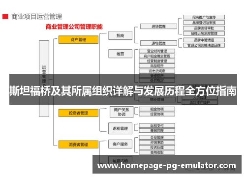 斯坦福桥及其所属组织详解与发展历程全方位指南