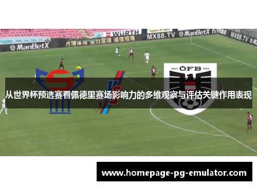 从世界杯预选赛看佩德里赛场影响力的多维观察与评估关键作用表现