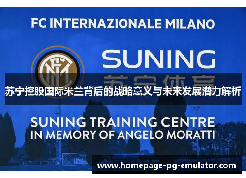 苏宁控股国际米兰背后的战略意义与未来发展潜力解析