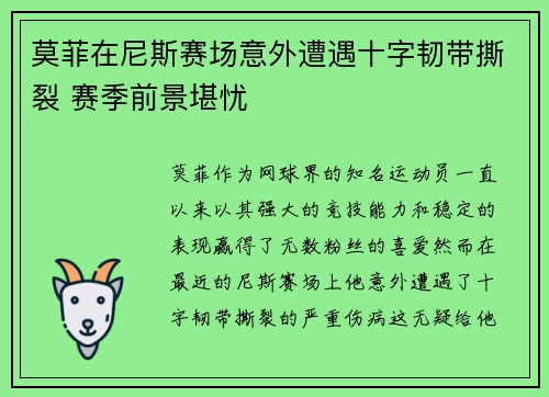 莫菲在尼斯赛场意外遭遇十字韧带撕裂 赛季前景堪忧 莫菲在尼斯赛场意外遭遇十字韧带撕裂 赛季前景堪忧